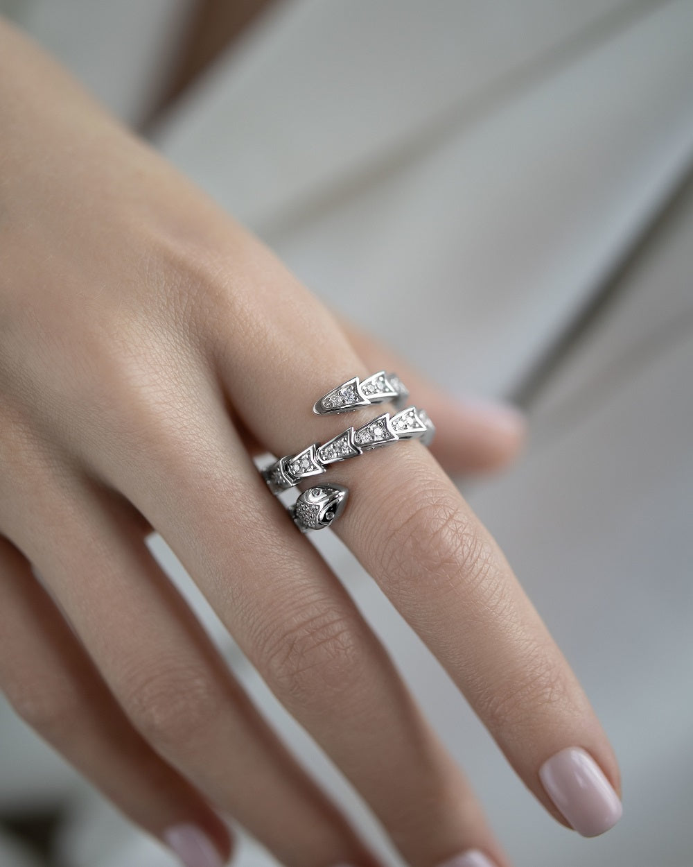 Ring snake Serpent