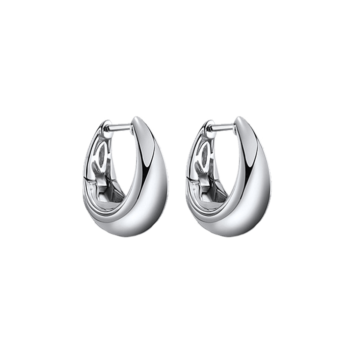 Streamlined earrings