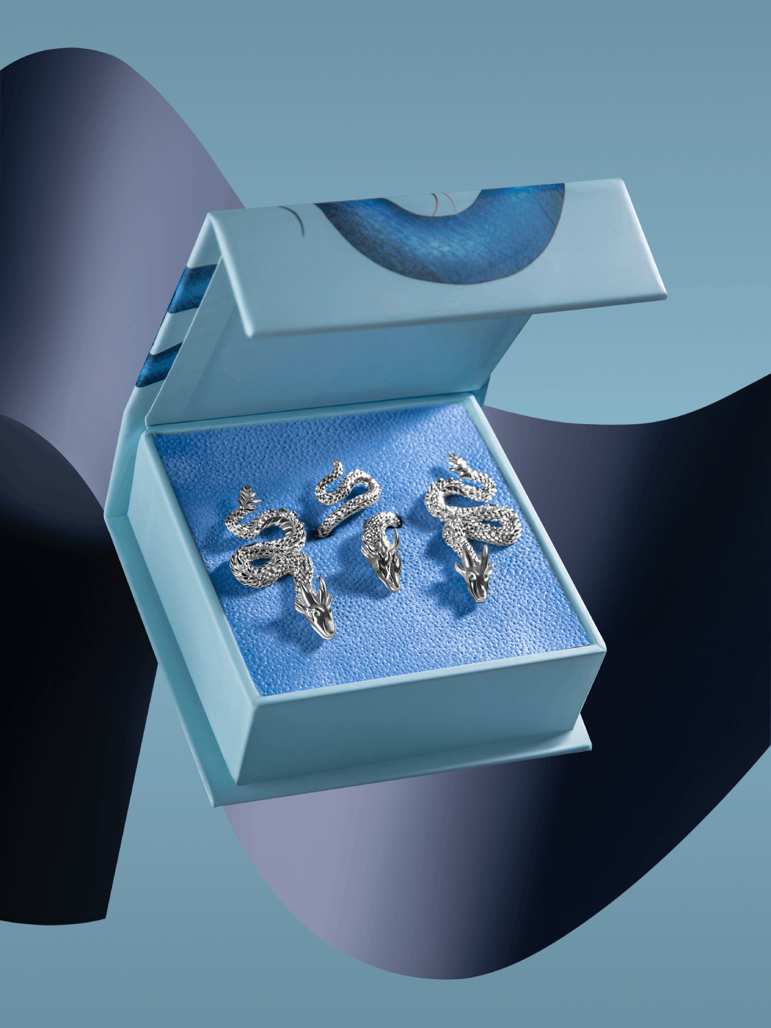 Box with a snake on a magnet 8.5x8.5