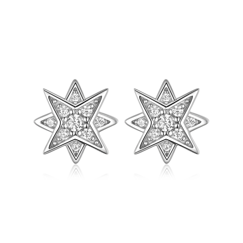 Stud earrings the Pole star