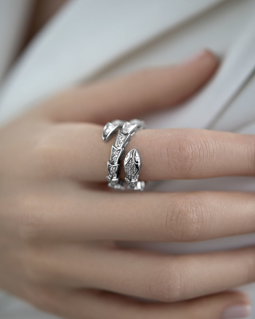 Ring snake Serpent
