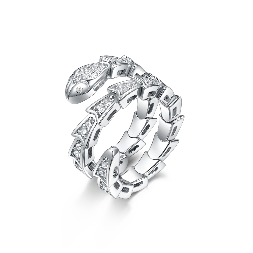 Ring snake Serpent