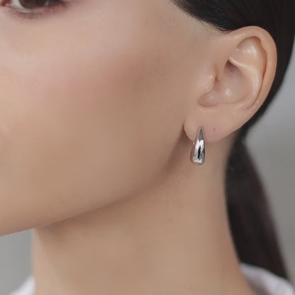 Streamlined earrings