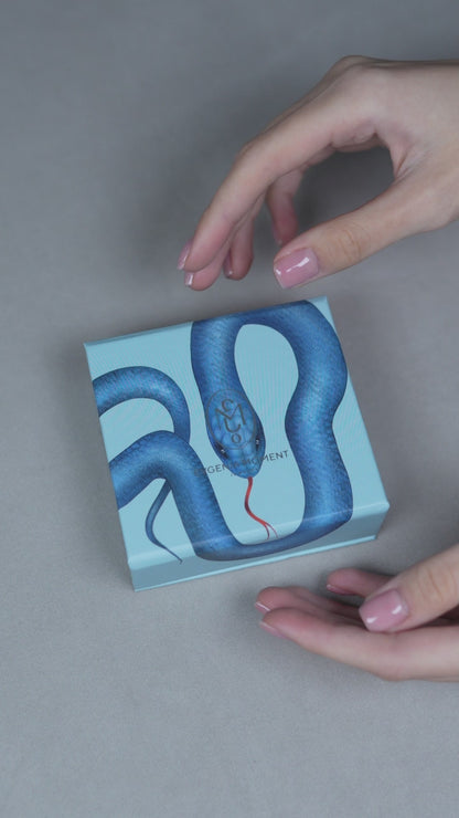 Box with a snake on a magnet 8.5x8.5
