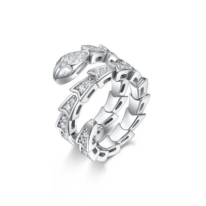 Ring snake Serpent