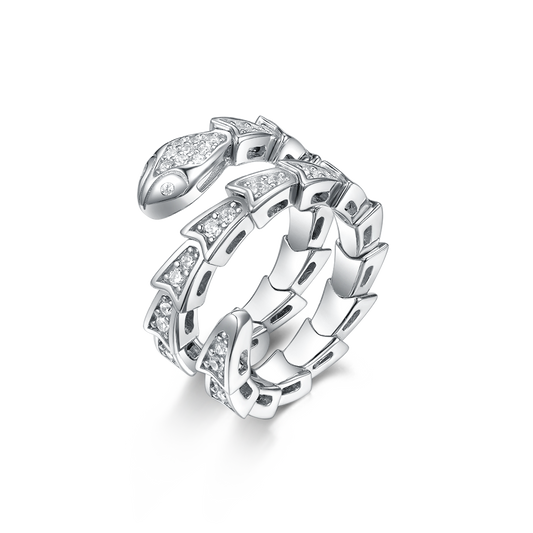 Ring snake Serpent